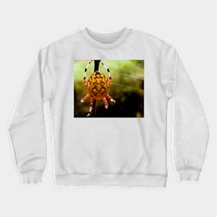 Yellow Orb Spider Crewneck Sweatshirt